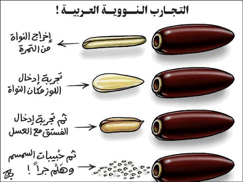 التجارب النونية العربية